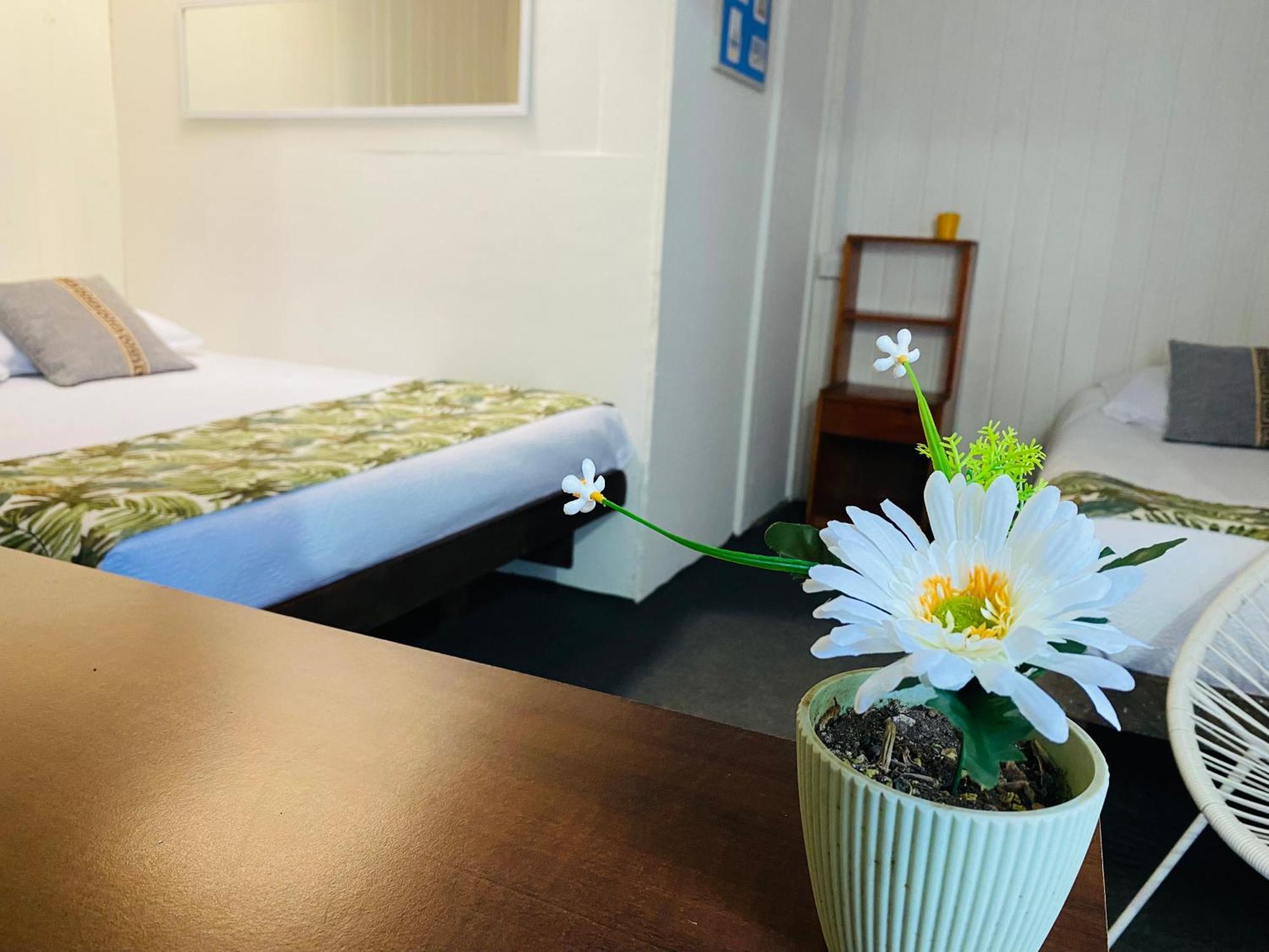 Hostal 3 Norte Σαν Αντόνιο Εξωτερικό φωτογραφία