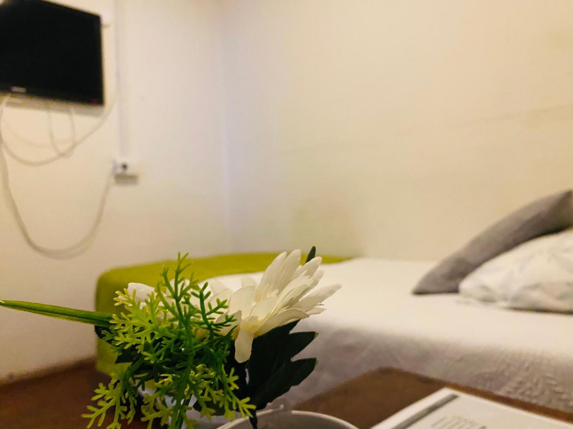 Hostal 3 Norte Σαν Αντόνιο Εξωτερικό φωτογραφία